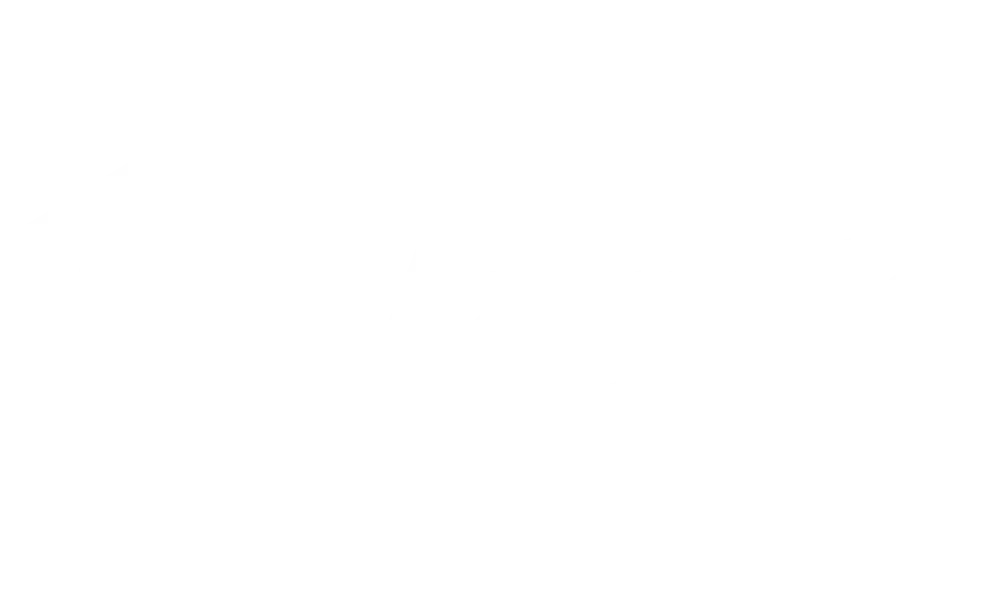 magento logo