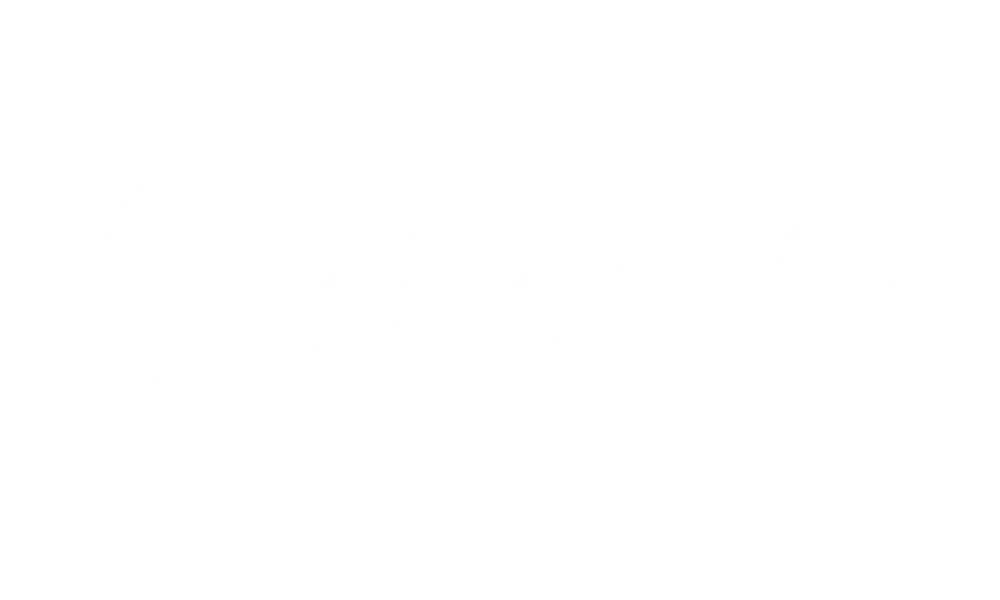 shopify logo