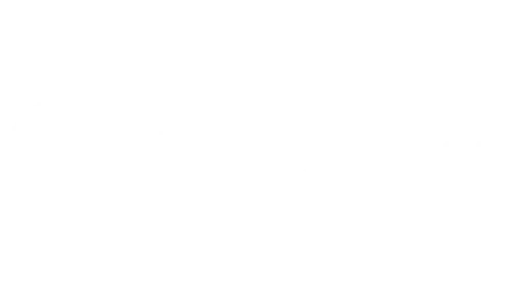 wordpress logo